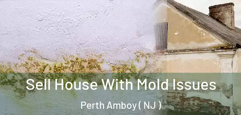  Sell House With Mold Issues Perth Amboy ( NJ )