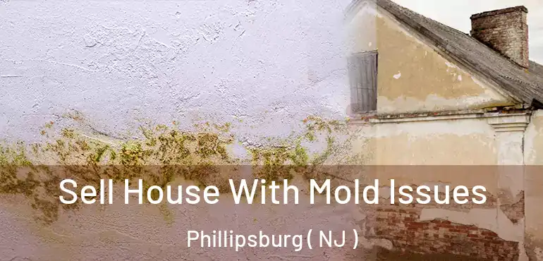  Sell House With Mold Issues Phillipsburg ( NJ )