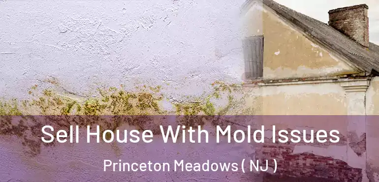  Sell House With Mold Issues Princeton Meadows ( NJ )