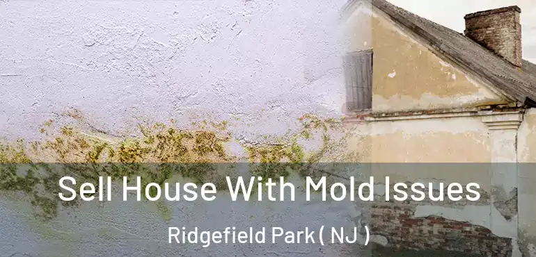  Sell House With Mold Issues Ridgefield Park ( NJ )