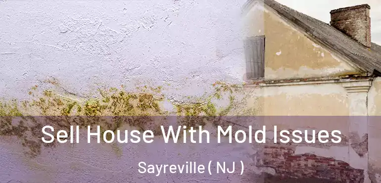  Sell House With Mold Issues Sayreville ( NJ )