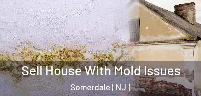  Sell House With Mold Issues Somerdale ( NJ )