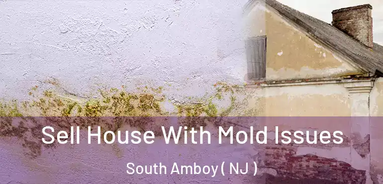  Sell House With Mold Issues South Amboy ( NJ )