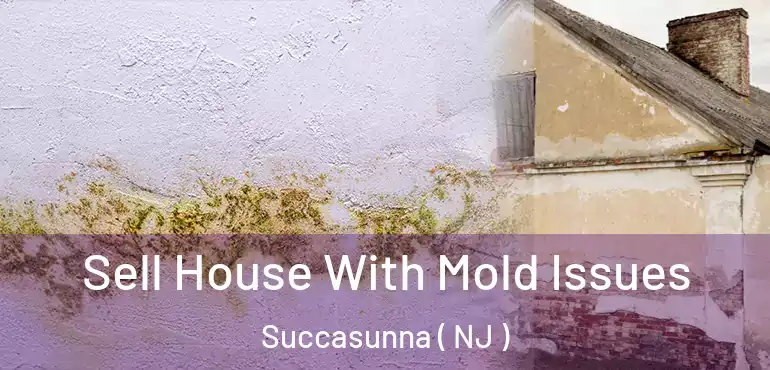  Sell House With Mold Issues Succasunna ( NJ )