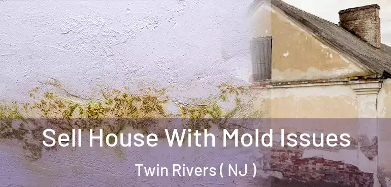  Sell House With Mold Issues Twin Rivers ( NJ )