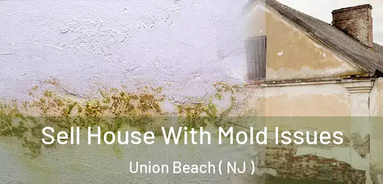  Sell House With Mold Issues Union Beach ( NJ )