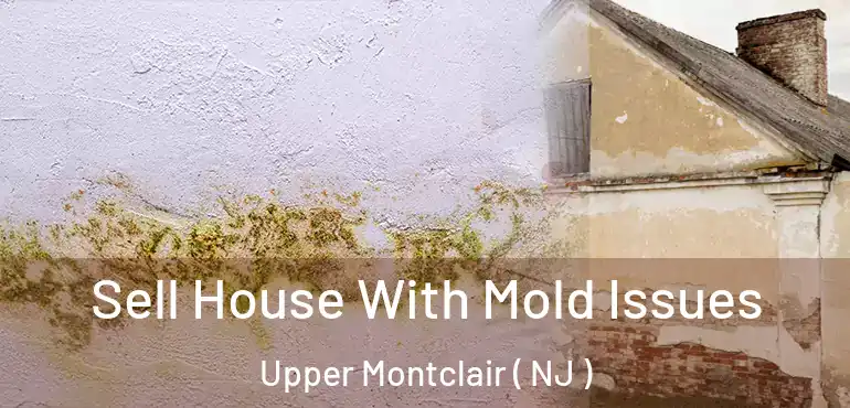  Sell House With Mold Issues Upper Montclair ( NJ )