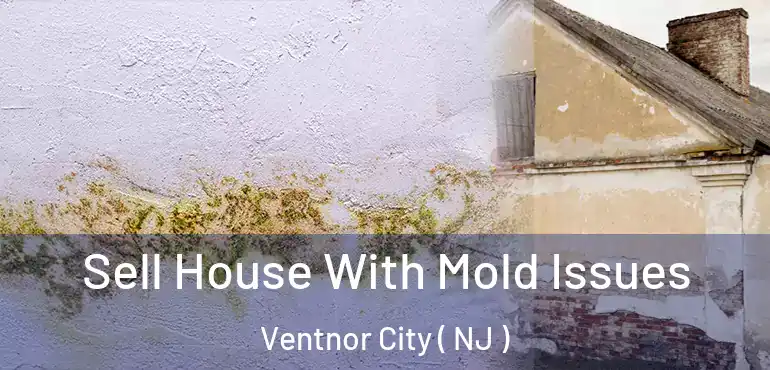  Sell House With Mold Issues Ventnor City ( NJ )