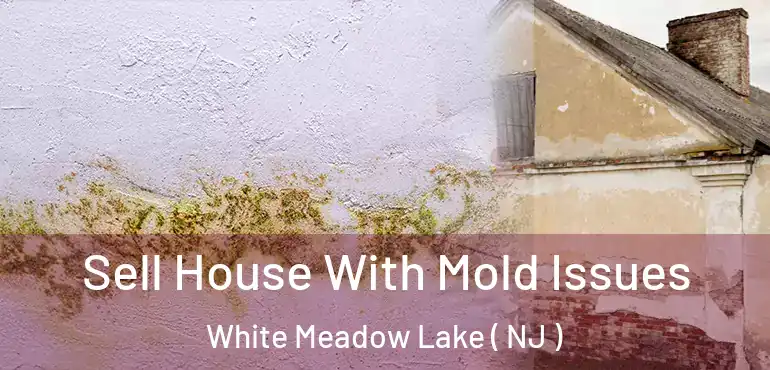 Sell House With Mold Issues White Meadow Lake ( NJ )