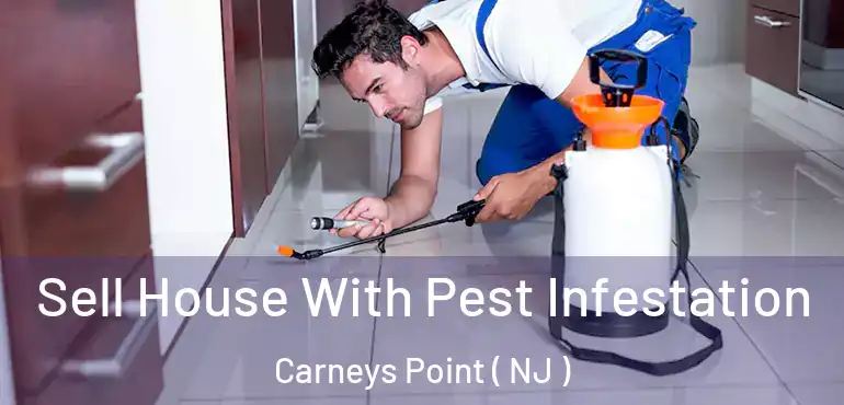  Sell House With Pest Infestation Carneys Point ( NJ )