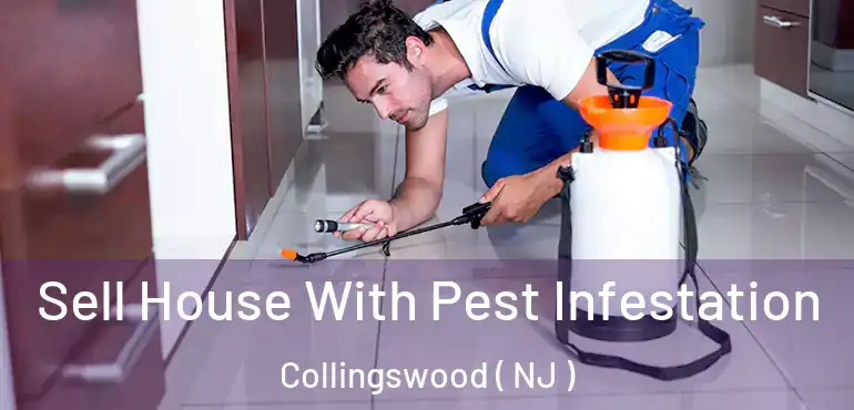  Sell House With Pest Infestation Collingswood ( NJ )
