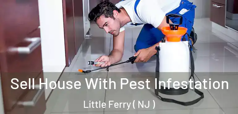  Sell House With Pest Infestation Little Ferry ( NJ )