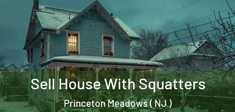  Sell House With Squatters Princeton Meadows ( NJ )