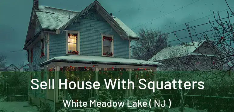 Sell House With Squatters White Meadow Lake ( NJ )
