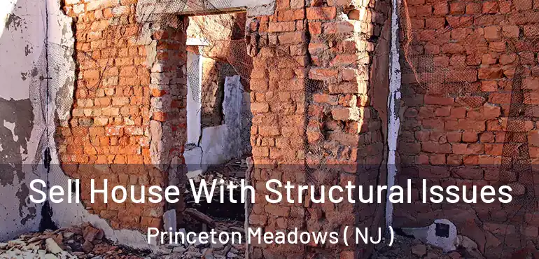  Sell House With Structural Issues Princeton Meadows ( NJ )