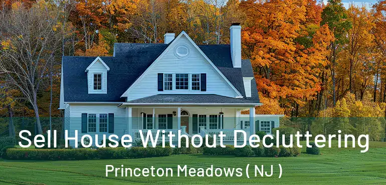  Sell House Without Decluttering Princeton Meadows ( NJ )