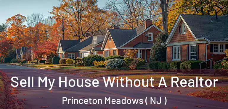  Sell My House Without A Realtor Princeton Meadows ( NJ )
