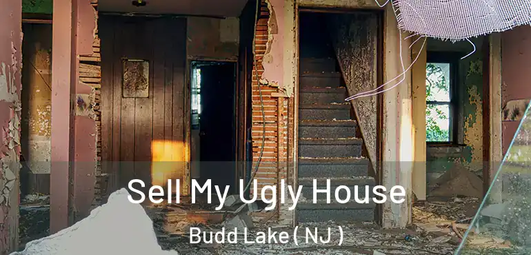  Sell My Ugly House Budd Lake ( NJ )