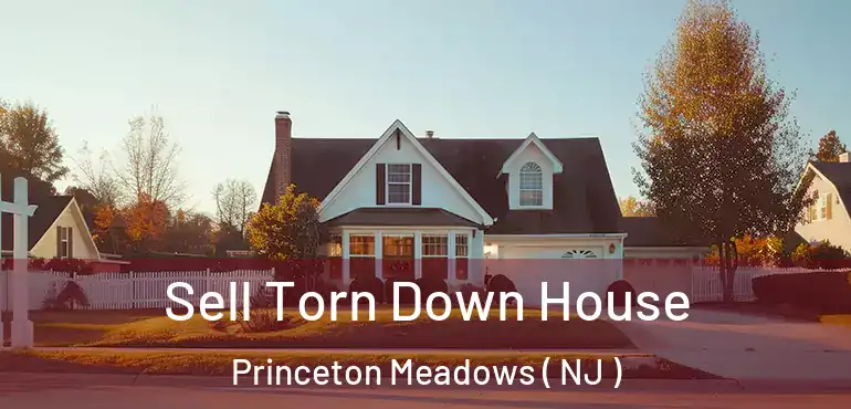  Sell Torn Down House Princeton Meadows ( NJ )