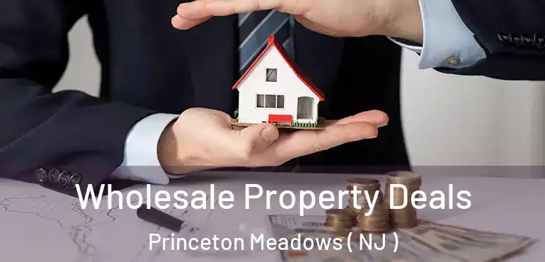  Wholesale Property Deals Princeton Meadows ( NJ )