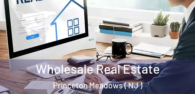  Wholesale Real Estate Princeton Meadows ( NJ )